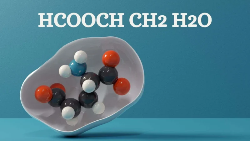 HCOOCH CH₂ H₂O